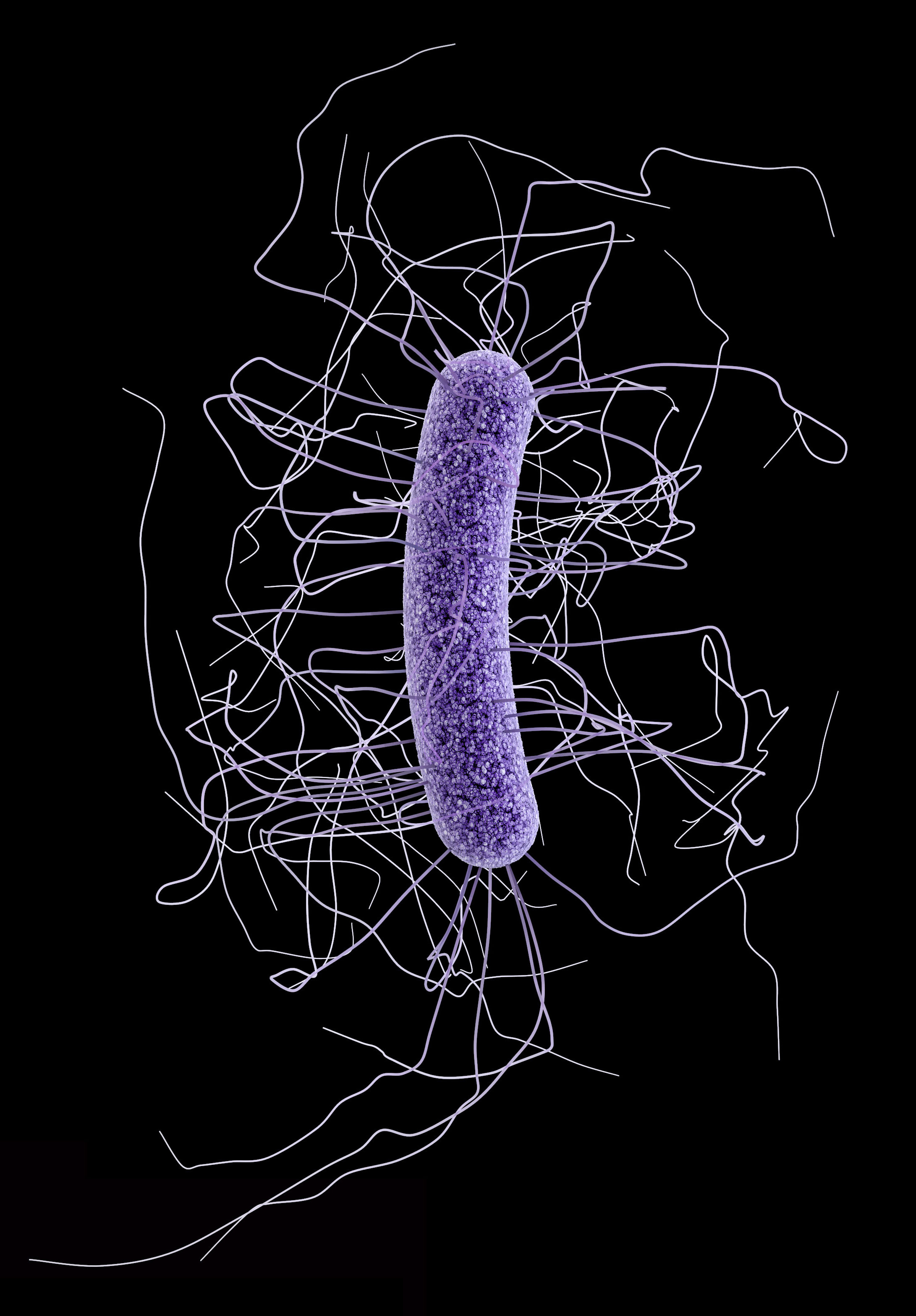 An illustration of a C. difficile bacterium that the SER-109 drug aimed to treat.