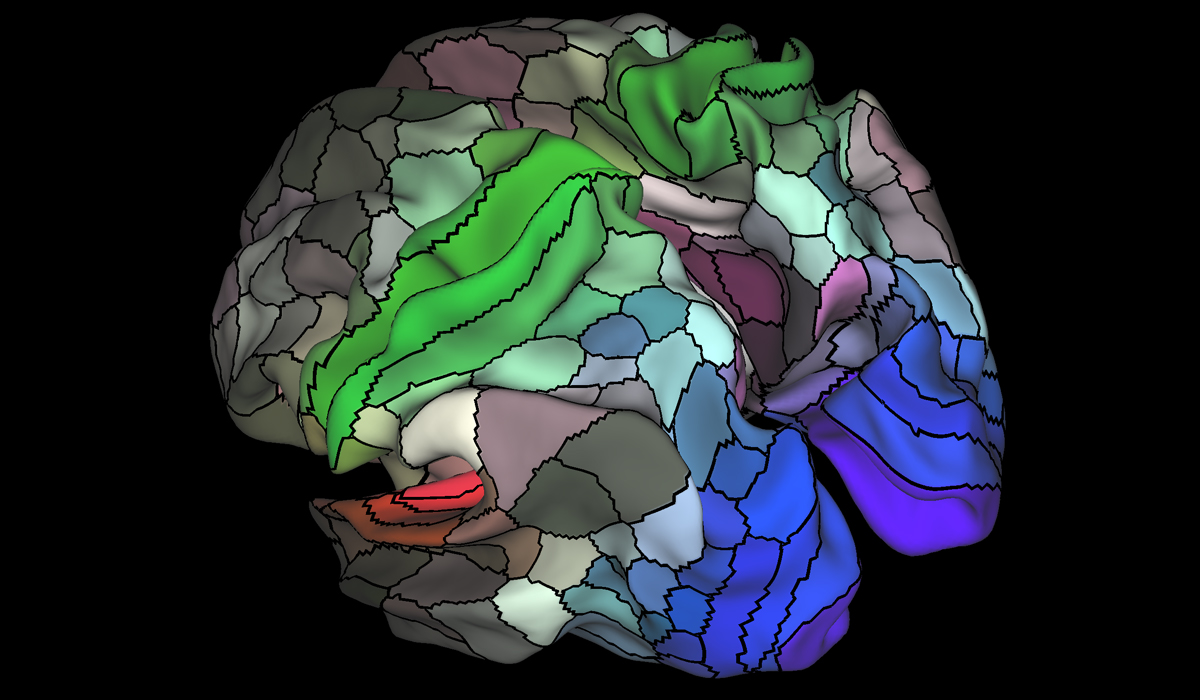 The new human brain map has 180 regions on both the left and right halves.
