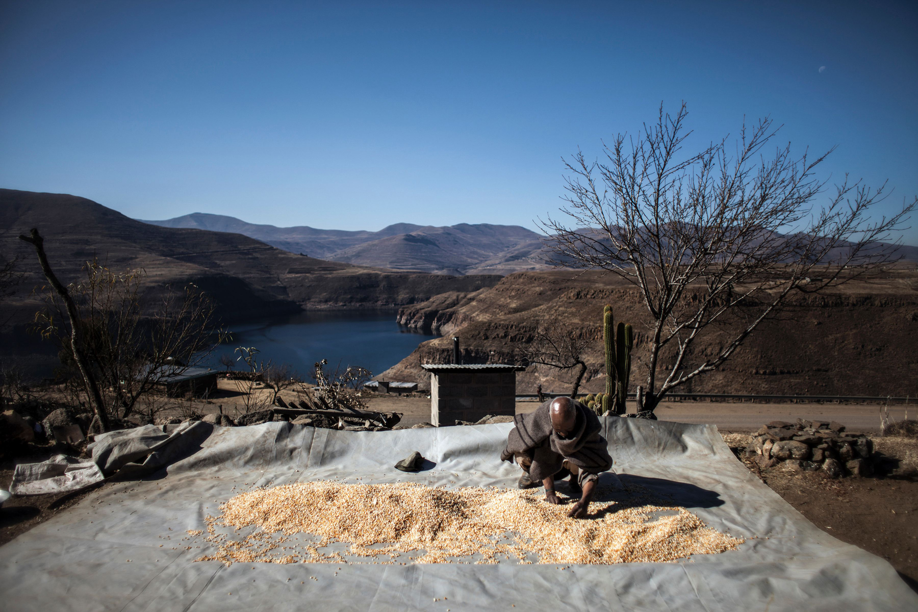 Mohlakoana Molise, a farmer in Lesotho, sorts the yield from his maize crop. Like much of Africa, Lesotho has been hit hard in 2016 by a drought associated with a strong El Niño event.