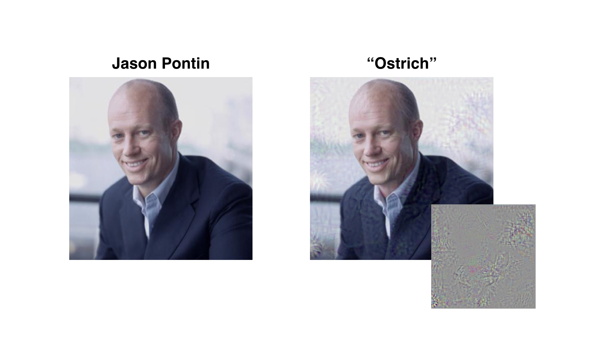 With a little bit of added noise (lower right), a computer can be fooled into thinking that an image of MIT Technology Review's Editor-in-Chief Jason Pontin is in fact an ostrich.