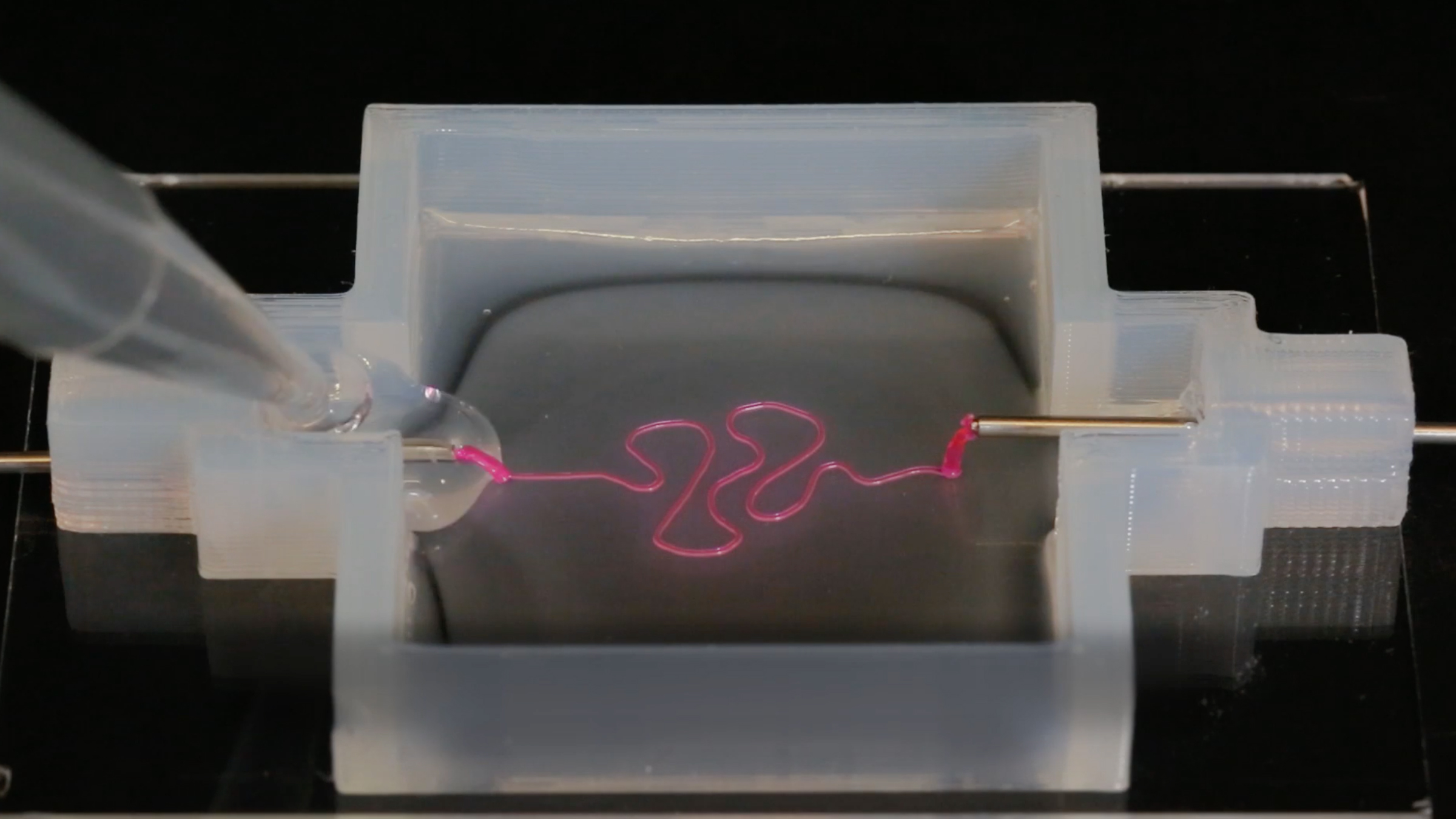 Using a 3-D "bioprinter," researchers were able to mimic the structure of an important kidney part.
