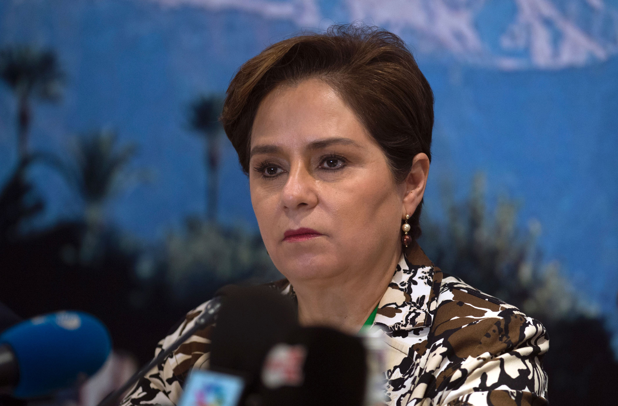 Patricia Espinosa, executive secretary of the United Nations Framework Convention on Climate Change, urged "sober assessment" over the task still ahead.