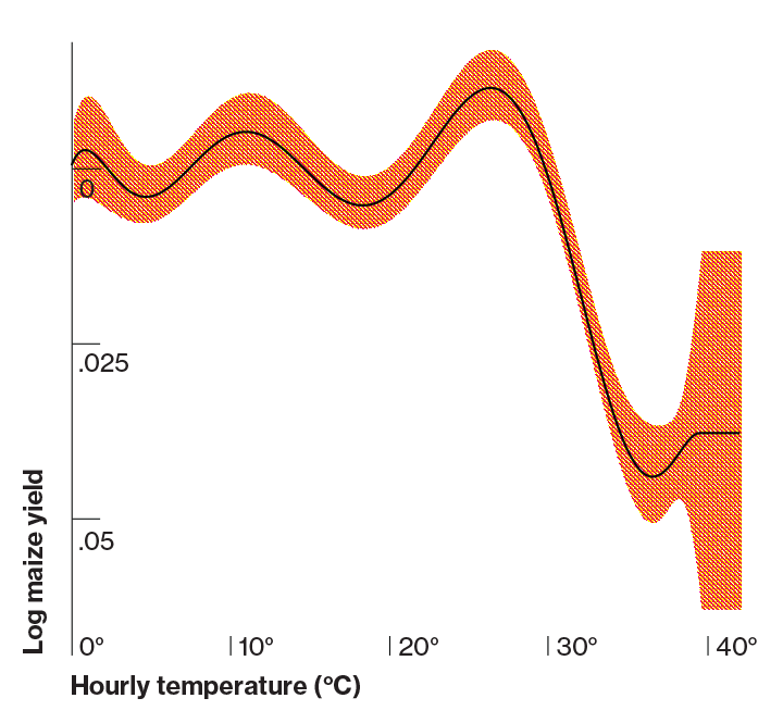 Maize Yields (U.S.) (5 of 6) Study finds that yields of corn increase until temperatures reach 30 °C, at which point they decline sharply. Similar results were found for cotton and soybeans. (Schlenker and Roberts, 2009)