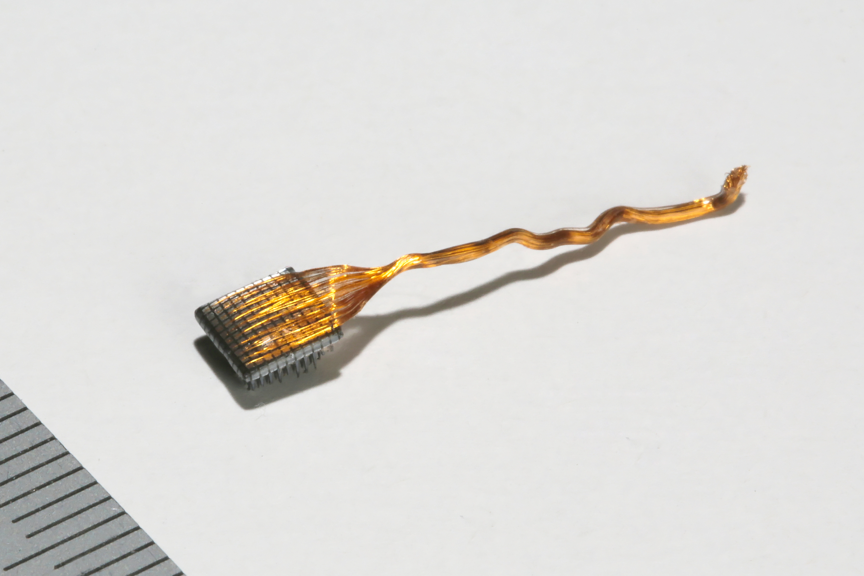 A close-up of a brain-reading chip, bristling with electrodes.