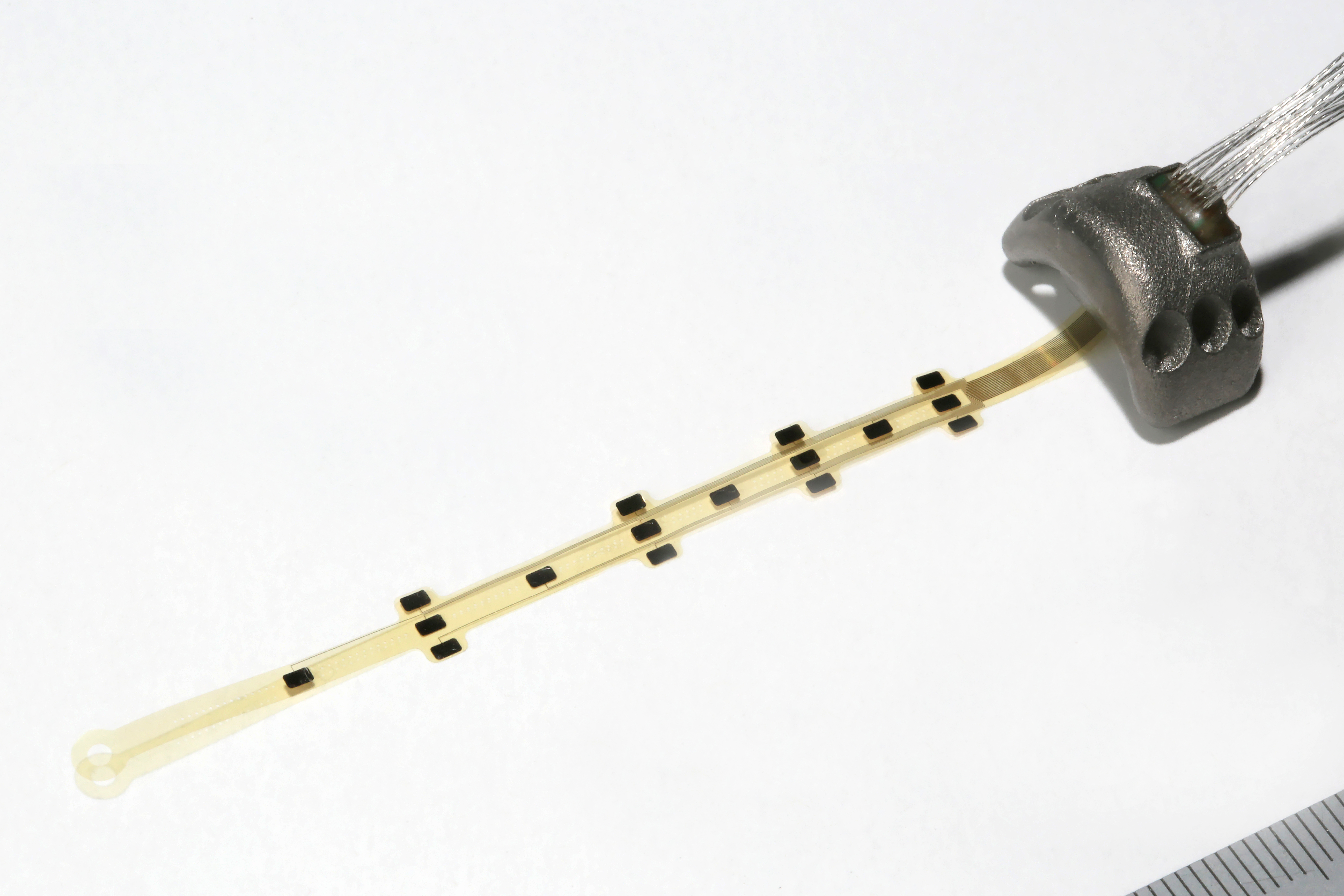 Flexible electrodes developed to simulate the spinal cord.