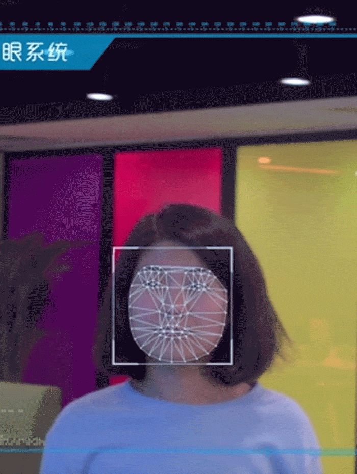 Face++ pinpoints 83 points on a face. The distance between them provides a means of identification.