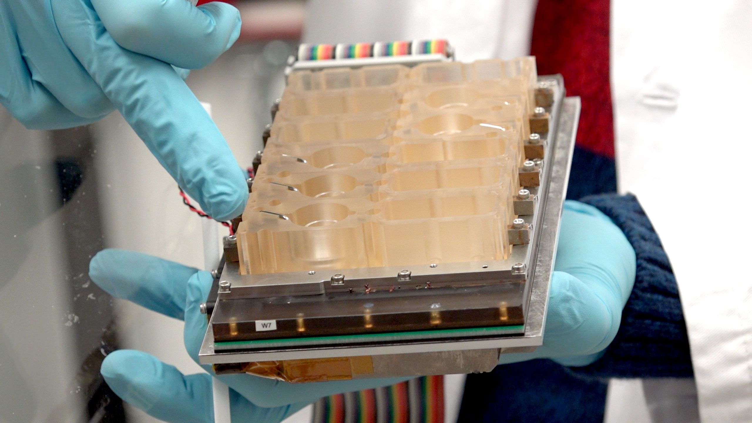 A close-up of a device that mimics the human menstrual cycle. Each compartment contains living cells from a different part of the female reproductive system.