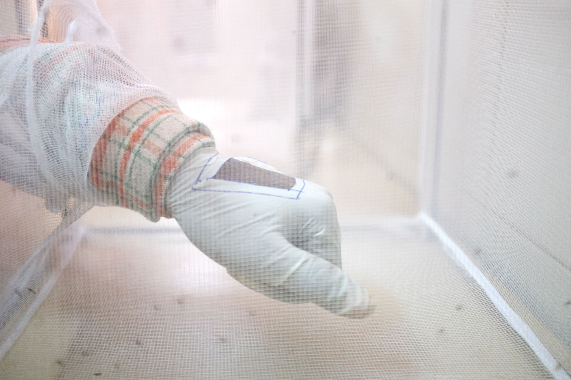 A volunteer tests a decidedly lower-tech weapon against malaria - a soap called "Faso Soap" meant to repel mosquitoes.