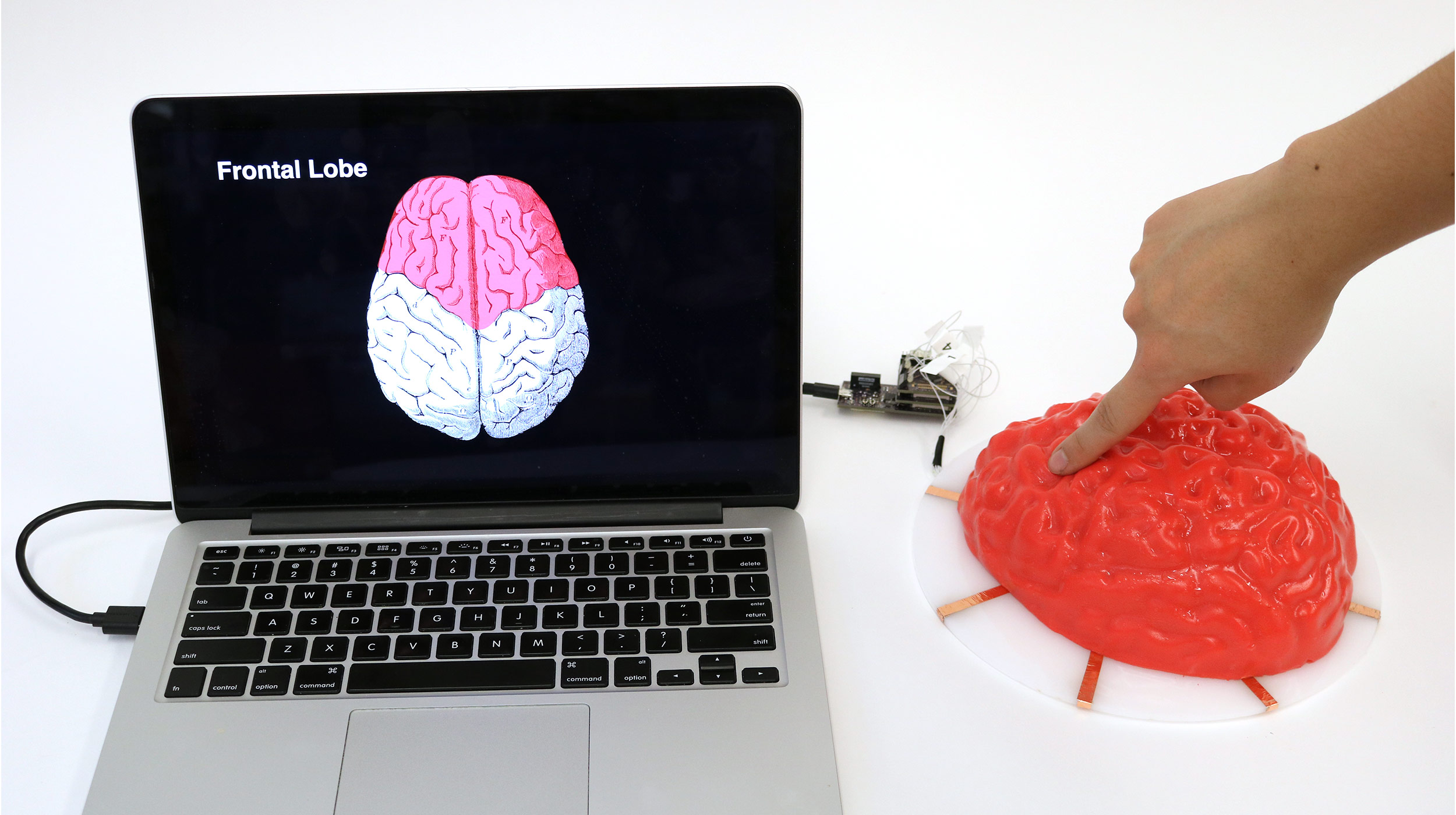 Electrick can turn all kinds of objects, like this molded Jell-O brain, into touch pads.