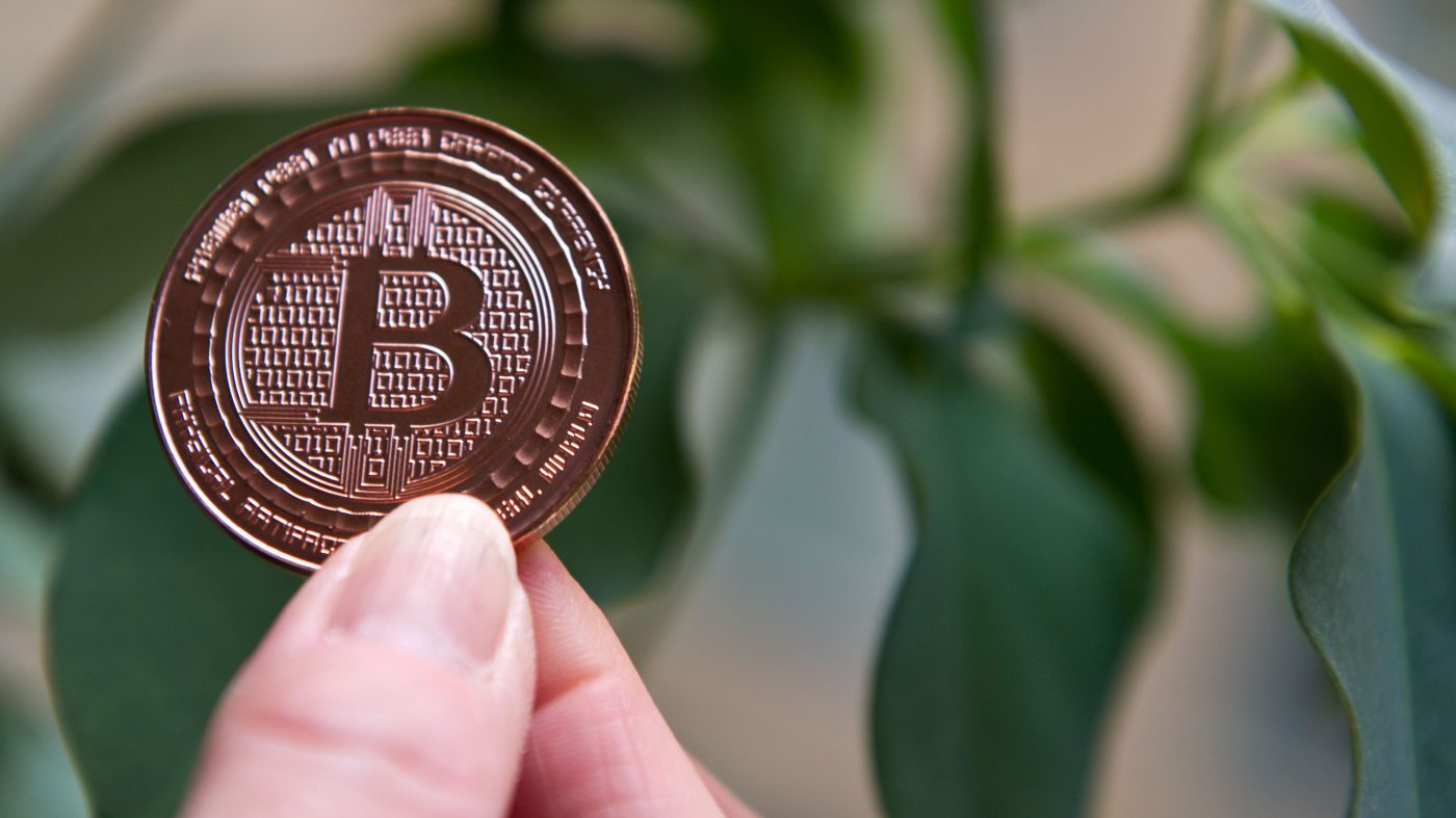 ビットコインの分裂は避けられるか - MIT Tech Review