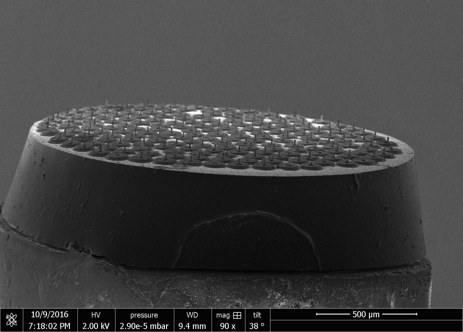 Brain-computer interfaces convey information out of the brain using electronics. Here, a close-up shows how miniature wires are bonded together to create an electrical contact. This is the end that stays outside the brain.