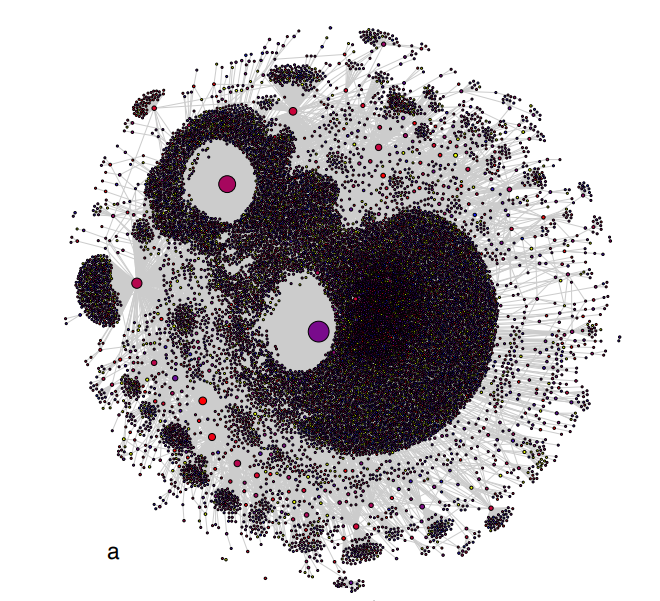 Diffusion network for the article titled “Spirit cooking: Clinton campaign chairman practices bizarre occult ritual," published by the conspiracy site Infowars.com four days before the 2016 U.S. election.