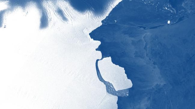 南極の棚氷から巨大氷山が分離、気候変動とは「関連なし」
