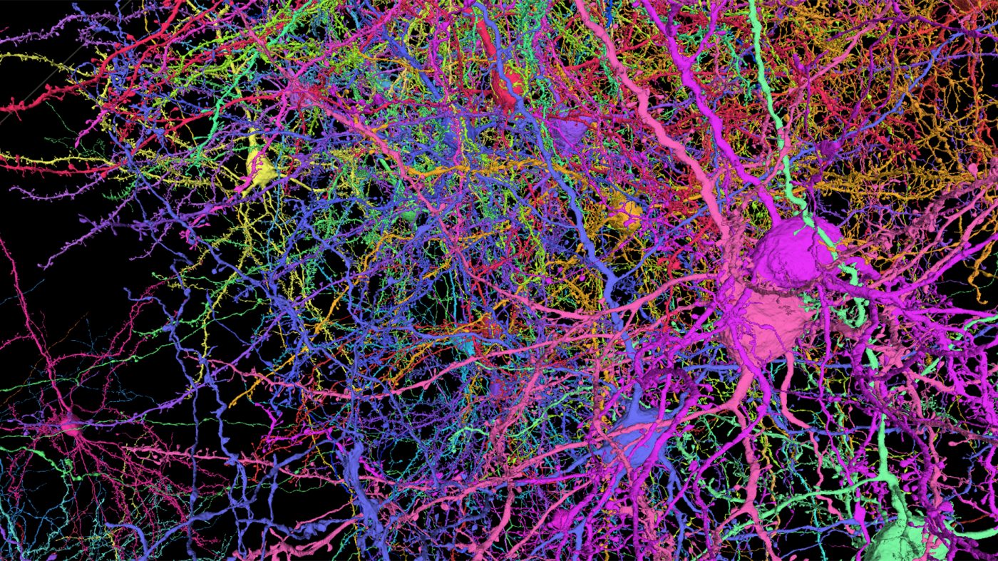 MICrONS-1-1400x787.jpg