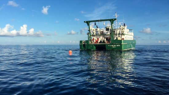 大西洋の海流が止まる——「地球規模の惨事」回避へ海の謎に挑む科学者たち