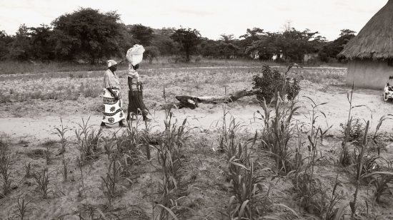 「気候変動移住」が引き起こす貧困の連鎖、ジンバブエ現地ルポ