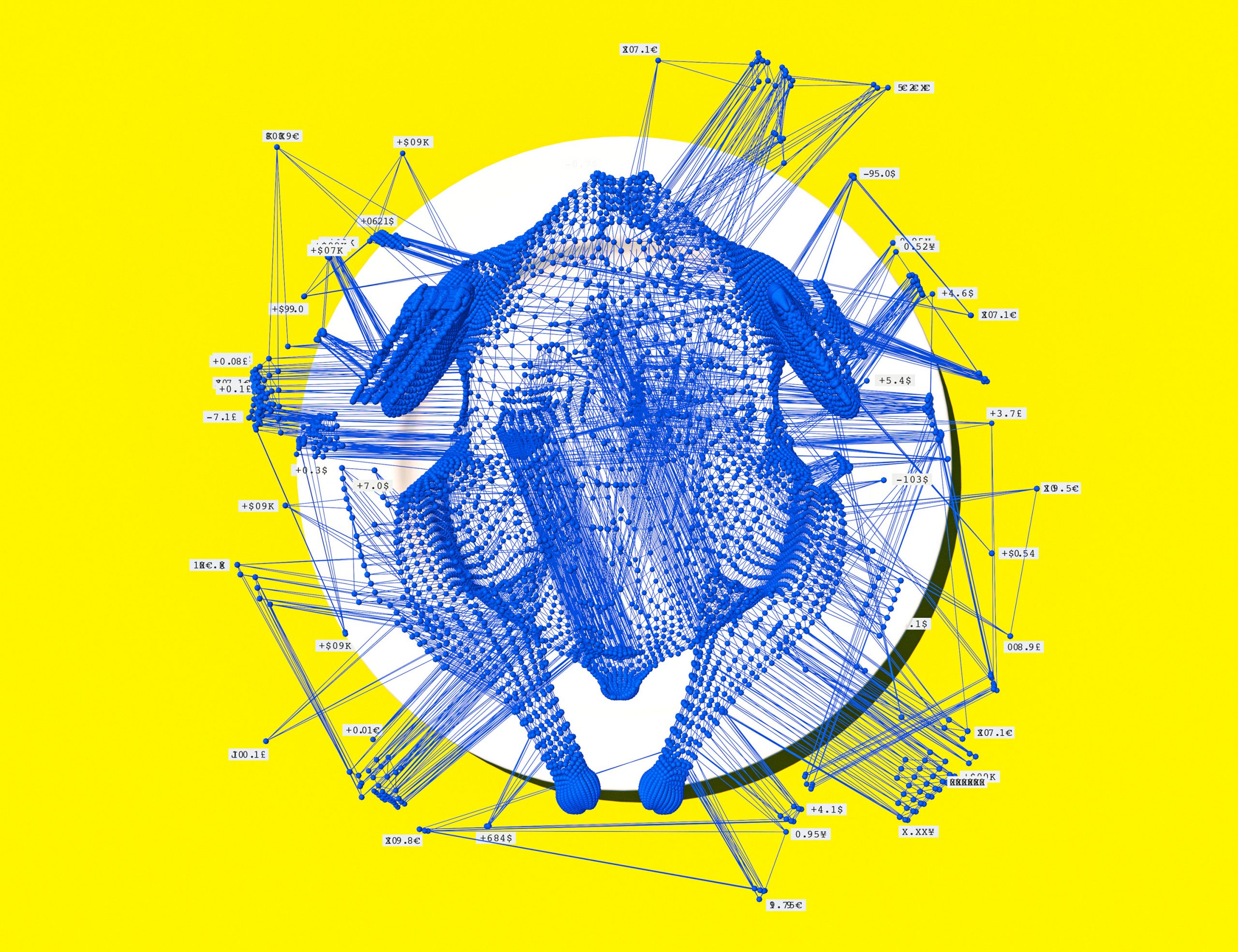 chicken network