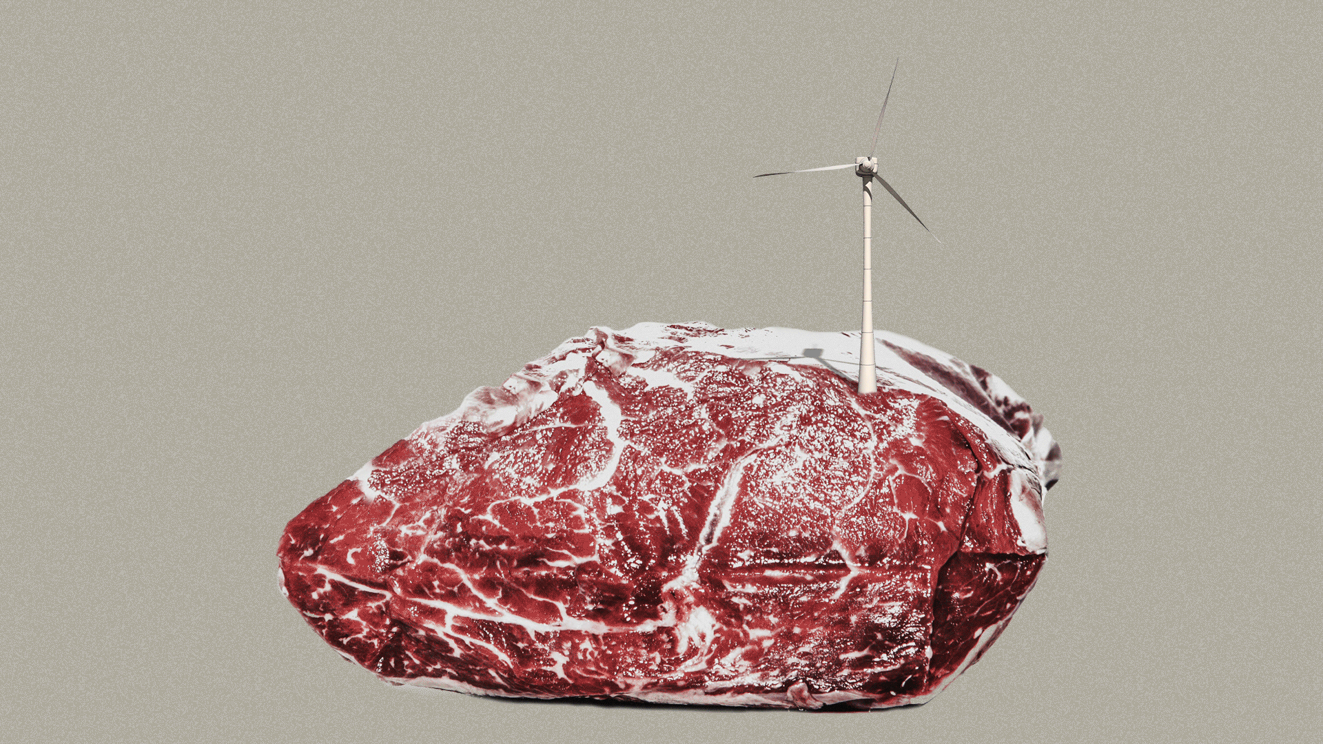 meat with wind turbine