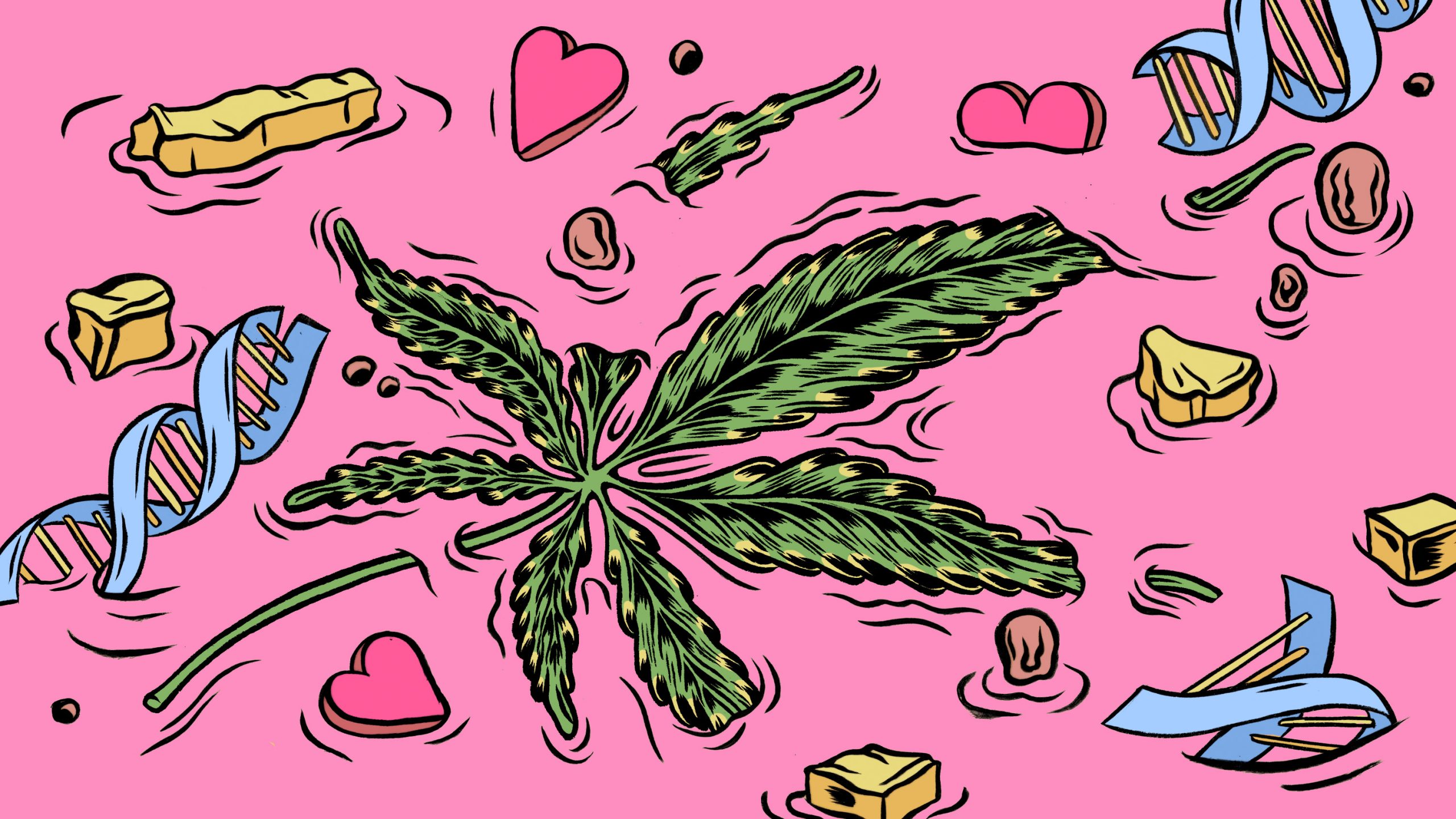 インフルエンサーと科学者、
些細な行き違いが生んだ
大麻悪阻症候群研究の顛末