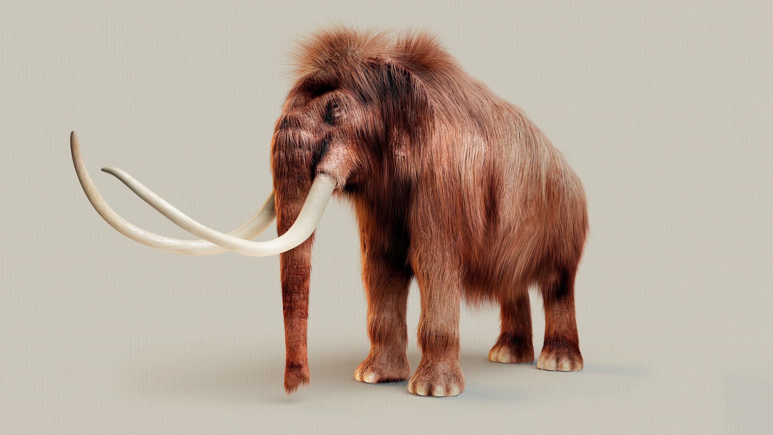 2027年にマンモス復活、
「脱絶滅」ベンチャーの野望