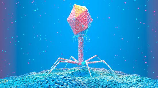 薬剤耐性対策で「ファージ」がいま再注目される理由