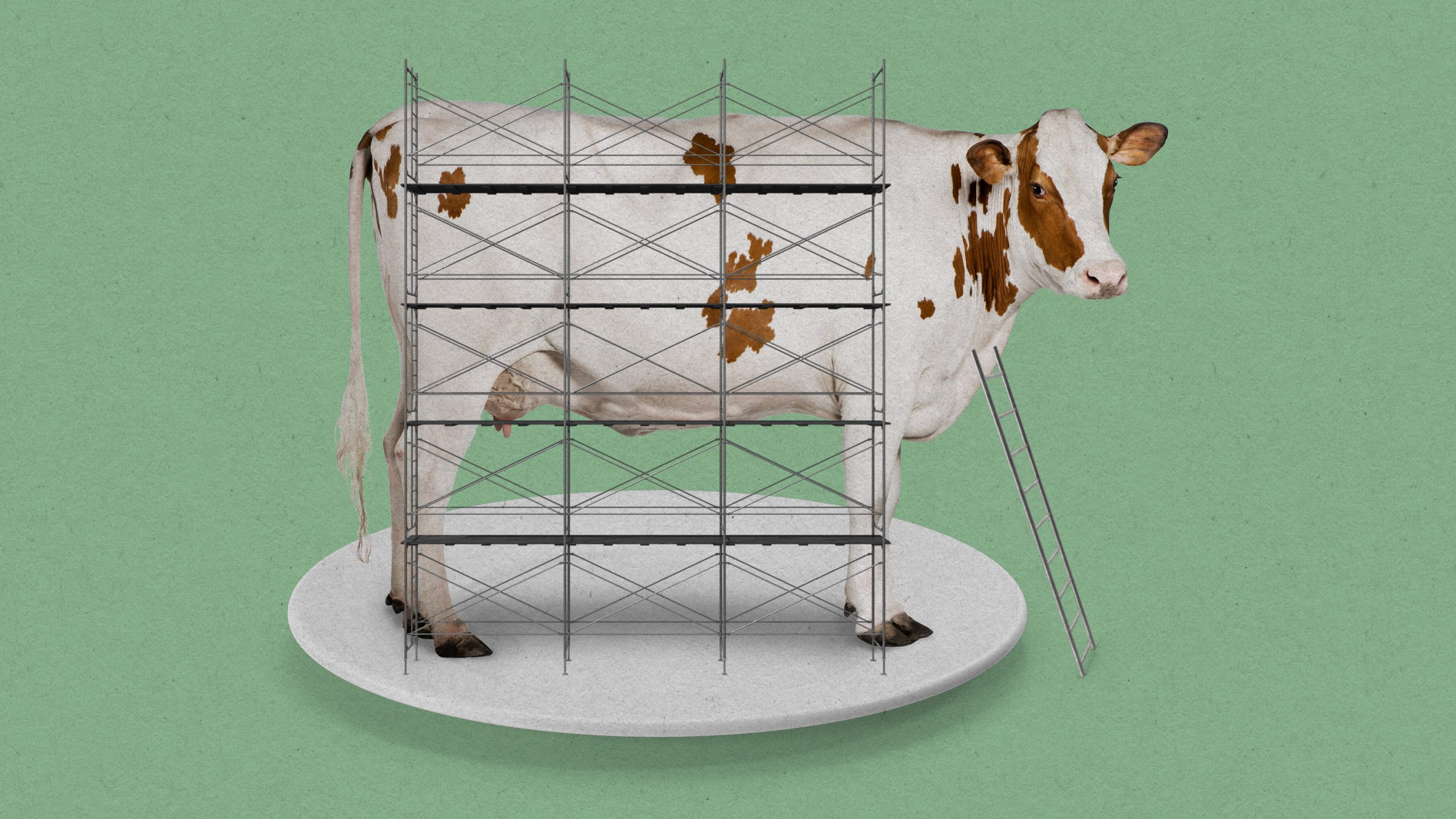 研究室育ちの人工「和牛」肉バーガーを試食してみた