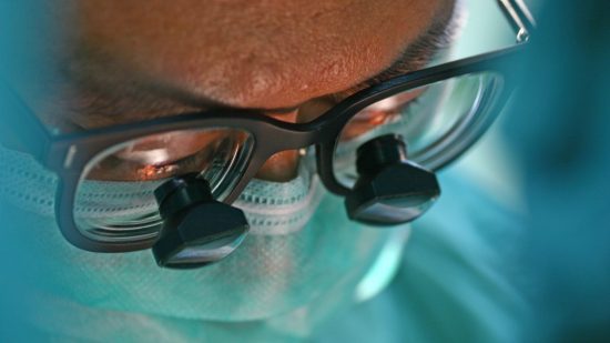 遺伝子編集したブタの心臓、難病児の命を救うか？米バイオ企業がヒヒで実験中