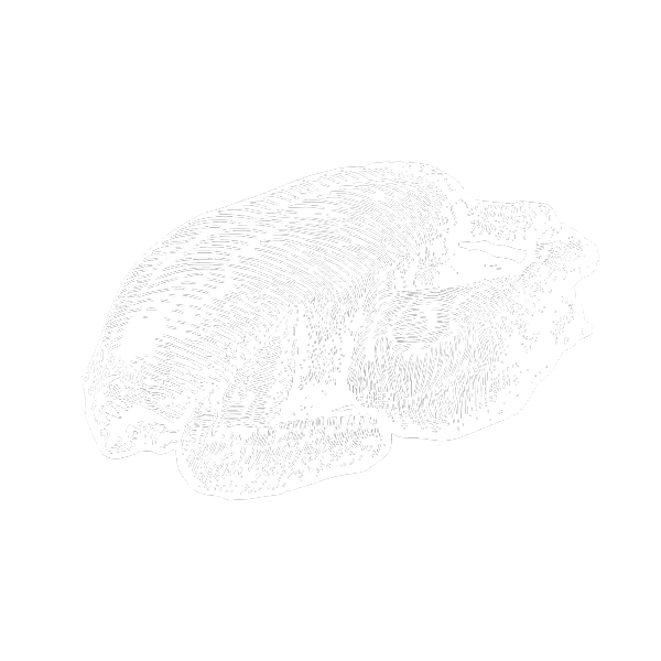 医学／生物工学