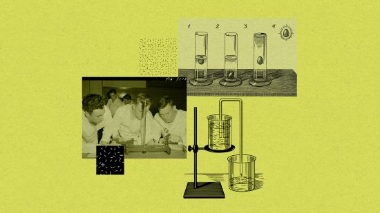 「撤回」に揺れる物理学界、信頼回復への道筋は？