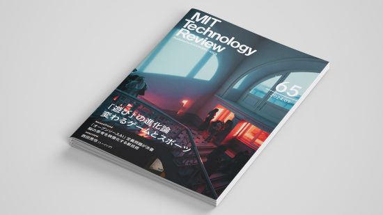 eムック「『遊び』の進化論　変わるゲームとスポーツ」特集号