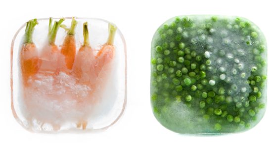 「鮮度」という幻想——冷蔵技術が変えた食の常識
