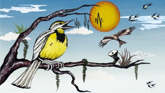 渡り鳥の声を聞き分ける——機械学習ツールが導く生物音響学研究の新時代