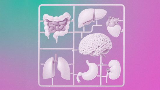 幹細胞治療の実用化：世界を変える10大技術