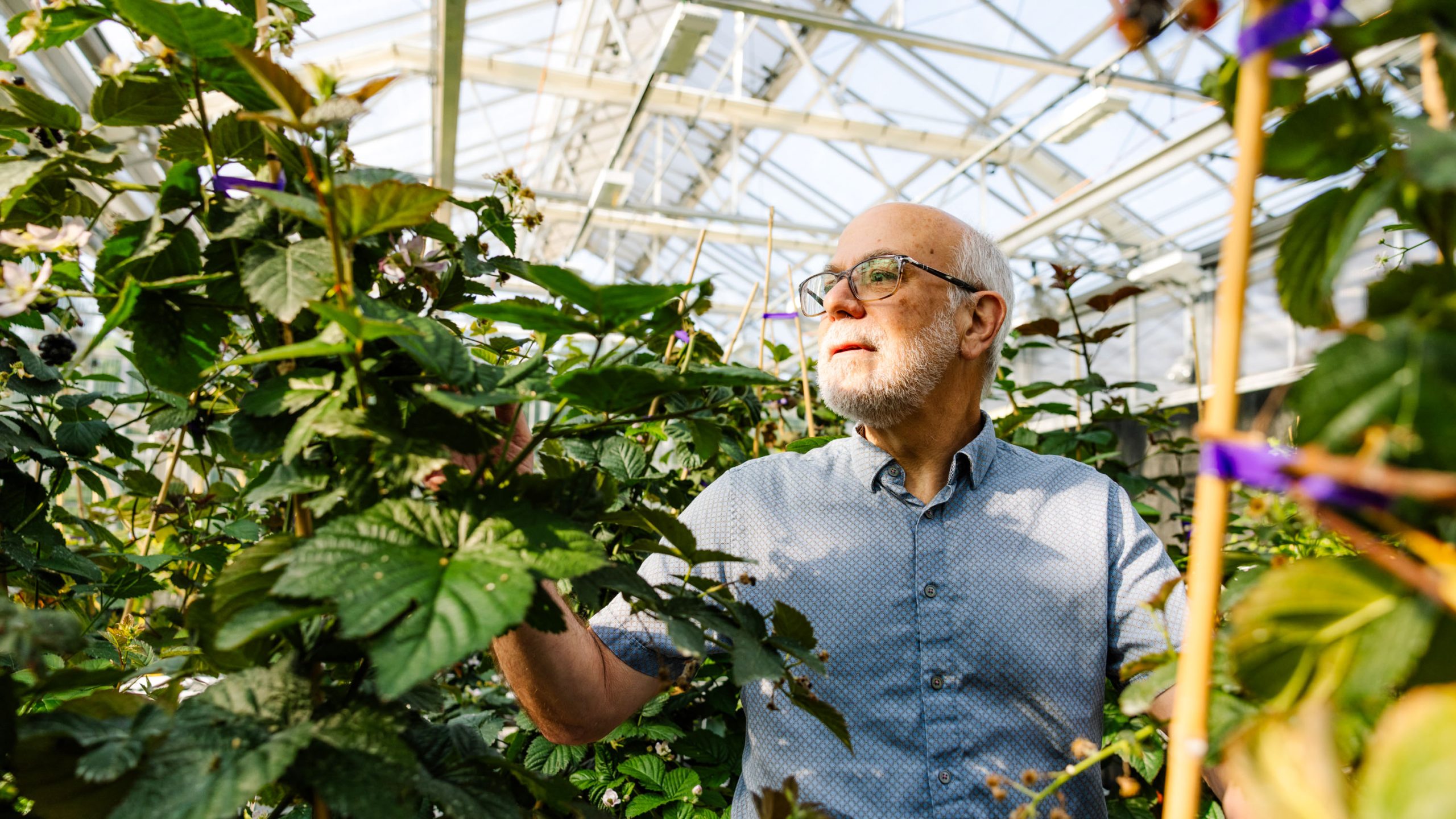 気候テック10：気候変動に負けない、ペアワイズの遺伝子編集作物