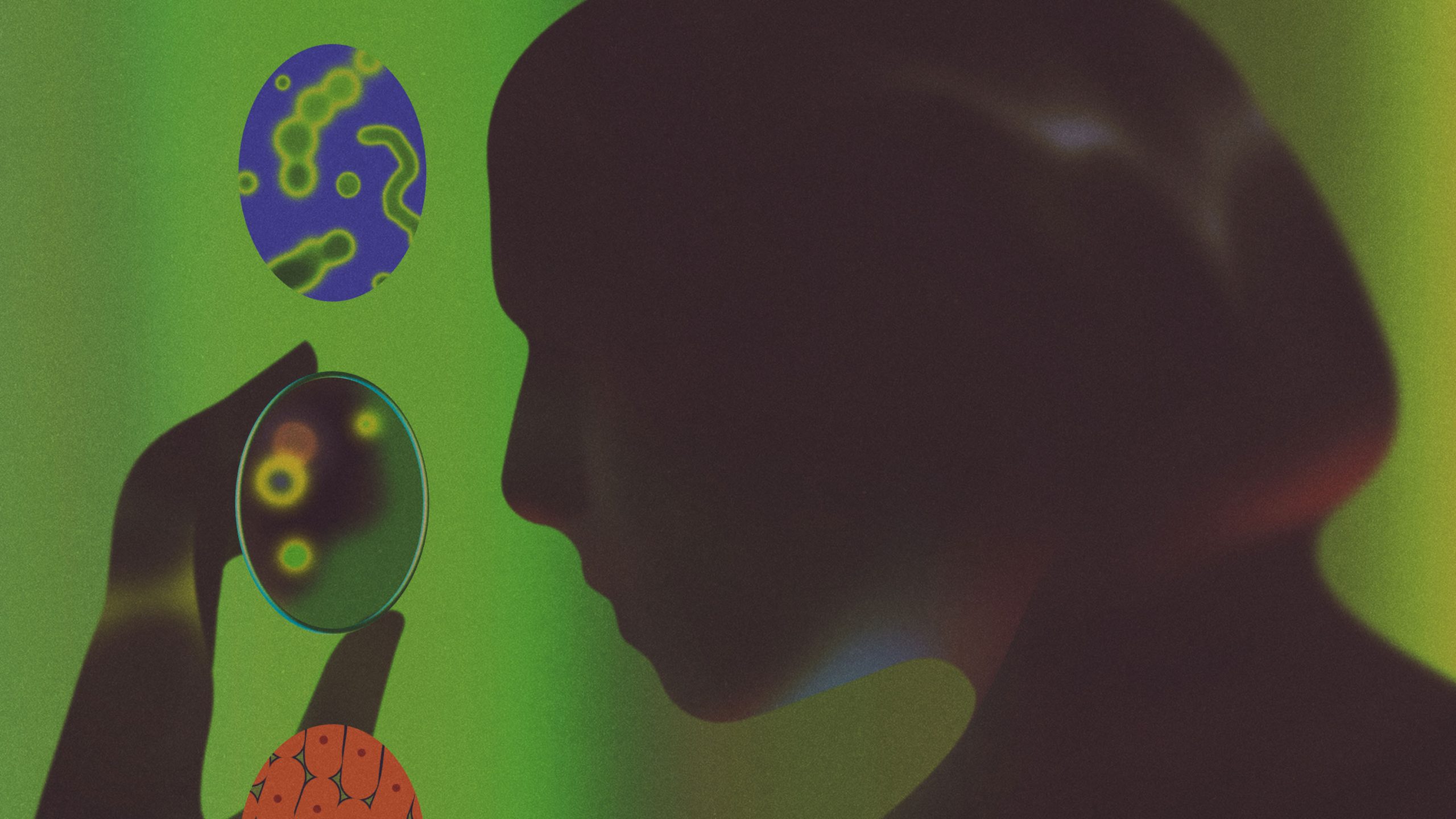 複雑な免疫系を1つのスコアに、イェール大が開発した新検査の可能性