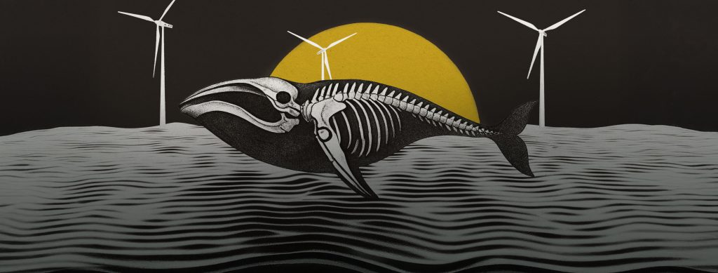 「洋上風力で死ぬ」根拠なしクジラ検死の専門家、死因調査の現場を語る