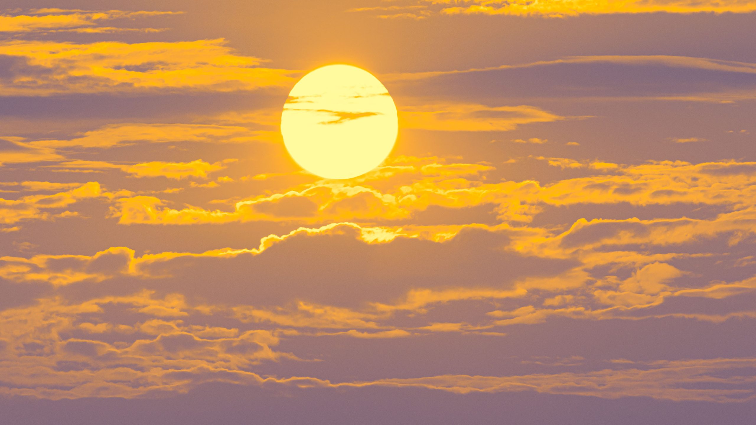 太陽地球工学に民間マネー
研究者が指摘する
地球冷却ビジネスの根本問題