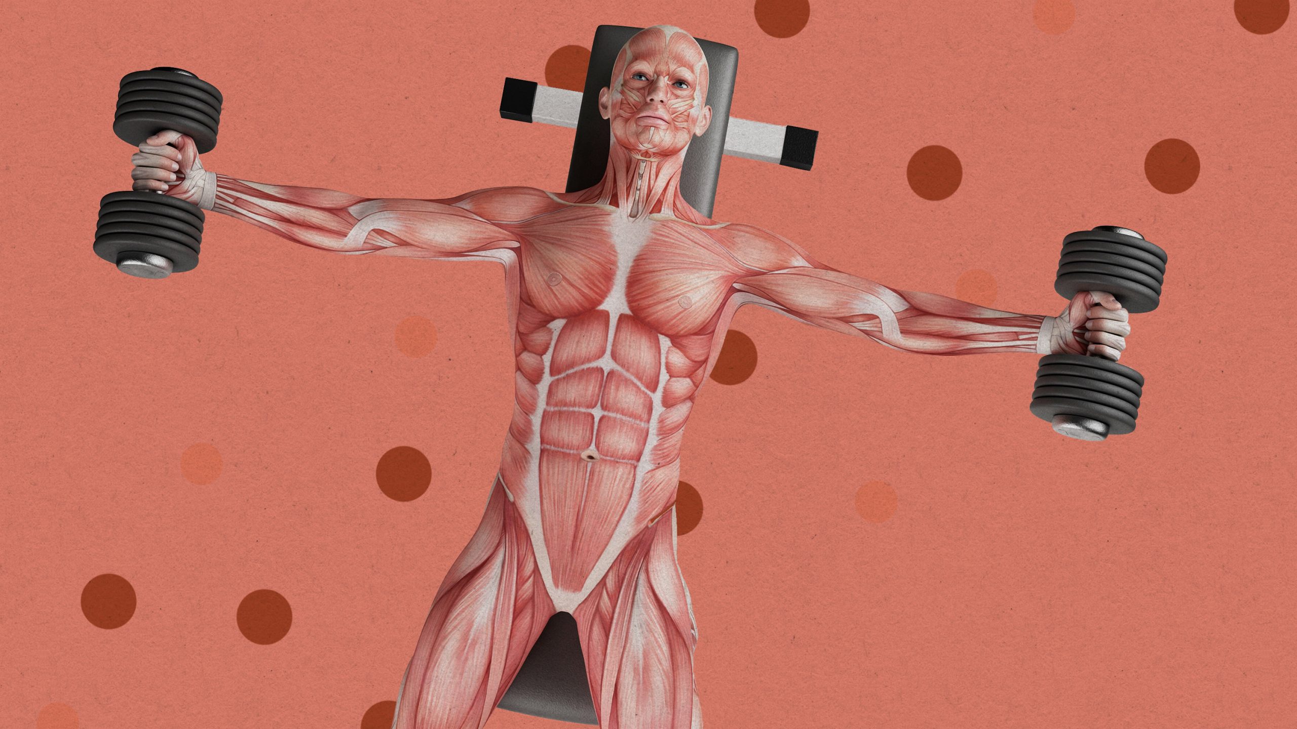 まず筋肉増強、勃起不全・薄毛も——「長寿」治療謳う企業が試験