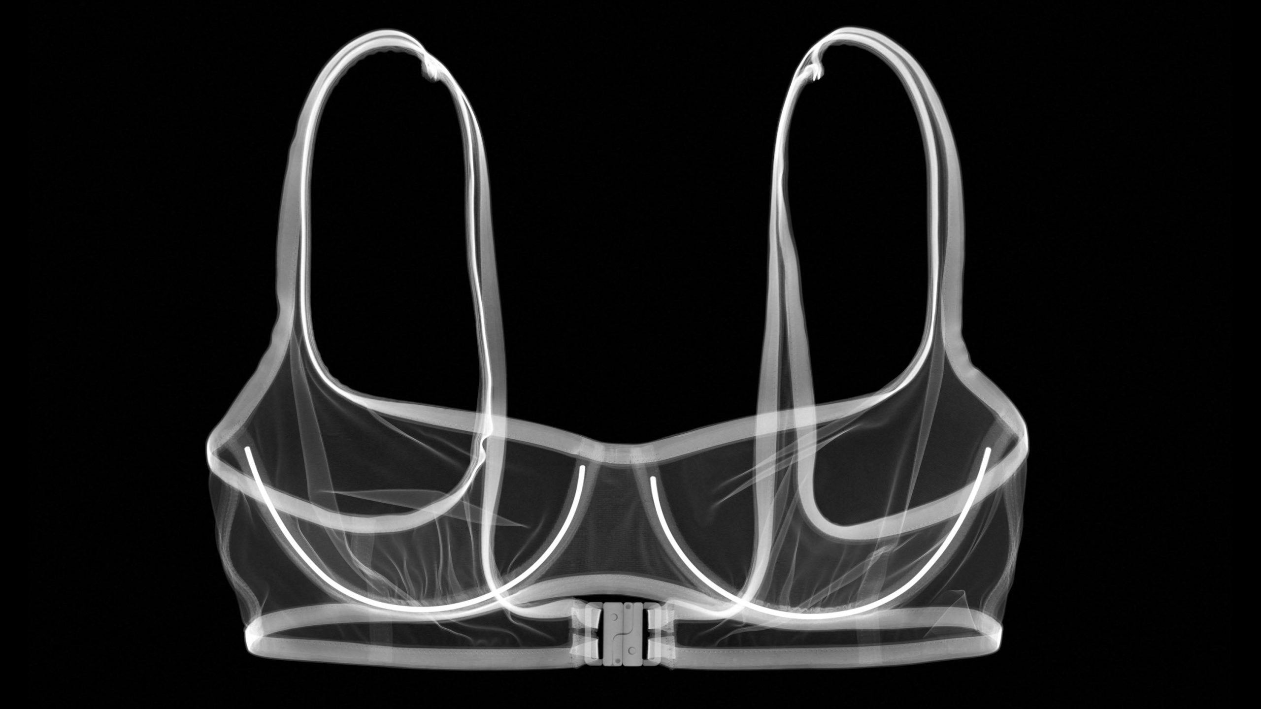 未来の職種：理想のブラを探求する「乳房生体力学研究者」