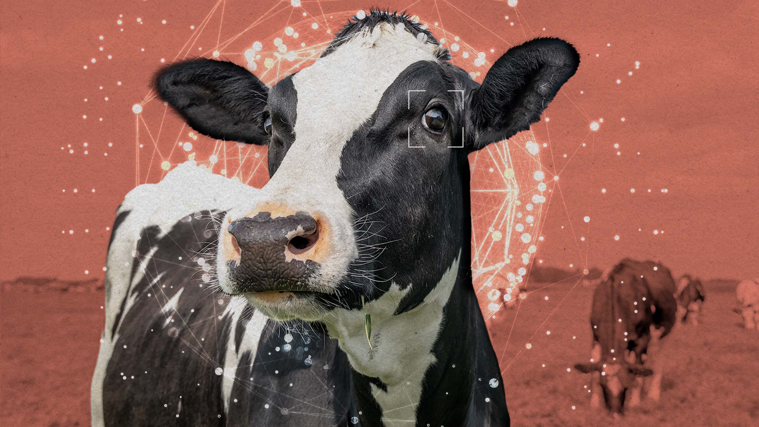 AIが動物を救う？——AGI到来を信じる活動家たちの奇妙な賭け