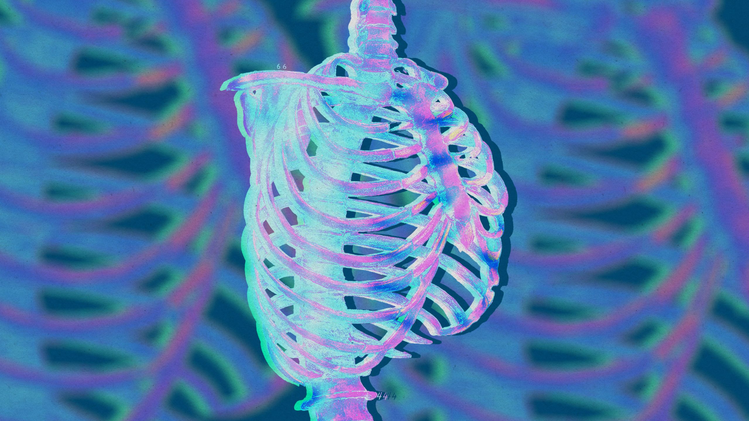 「大賞なし」も想定内？
量子コンの医療応用を競う
500万ドルのコンテスト