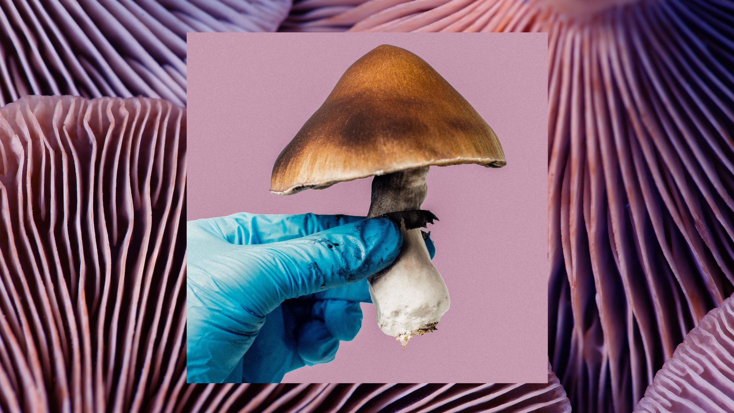 やっぱり過剰な期待だったサイケデリック薬、うつ病治療の実力は？