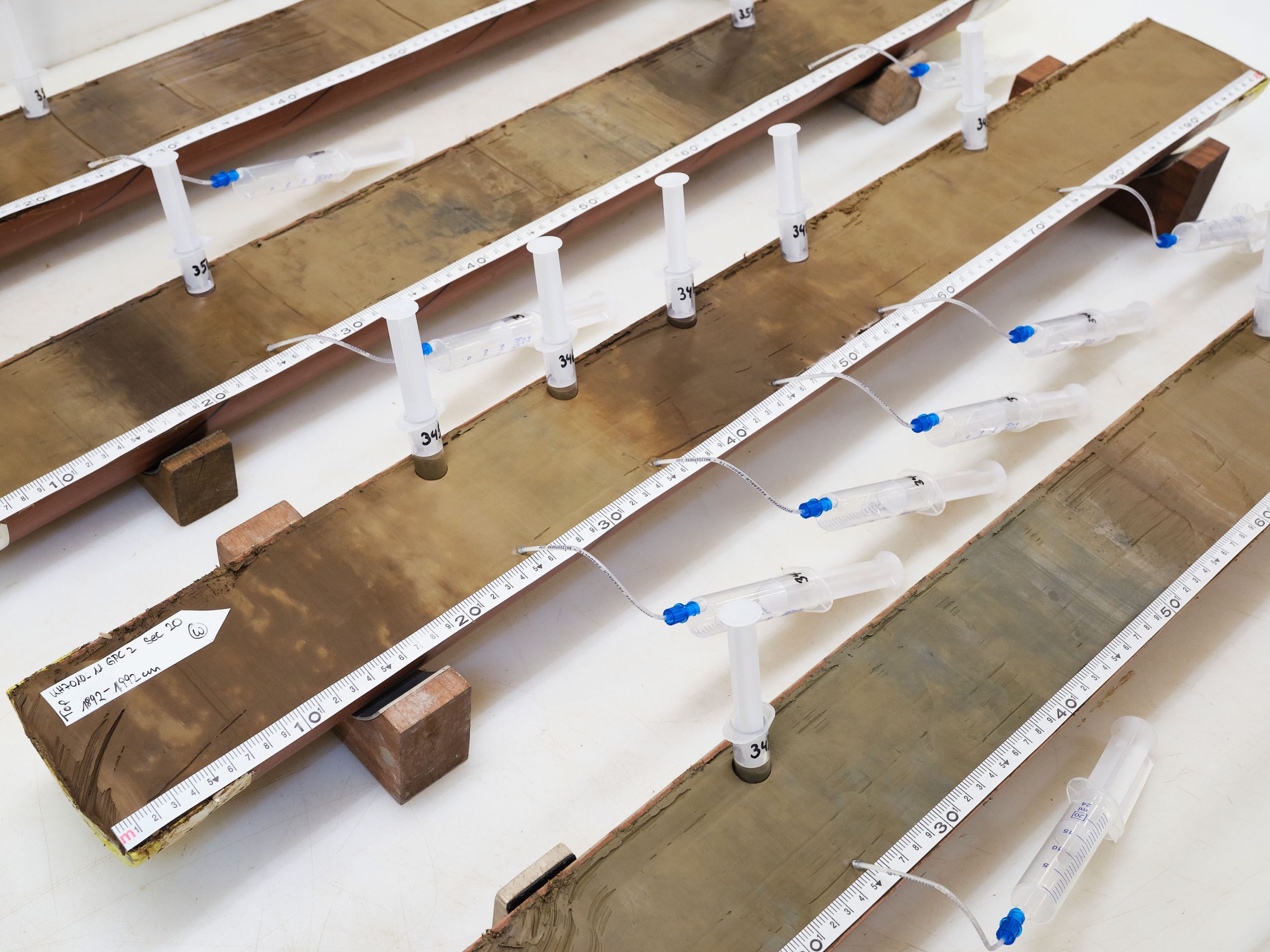 rows of the cut pipes with plastic syringes inserted at intervals 