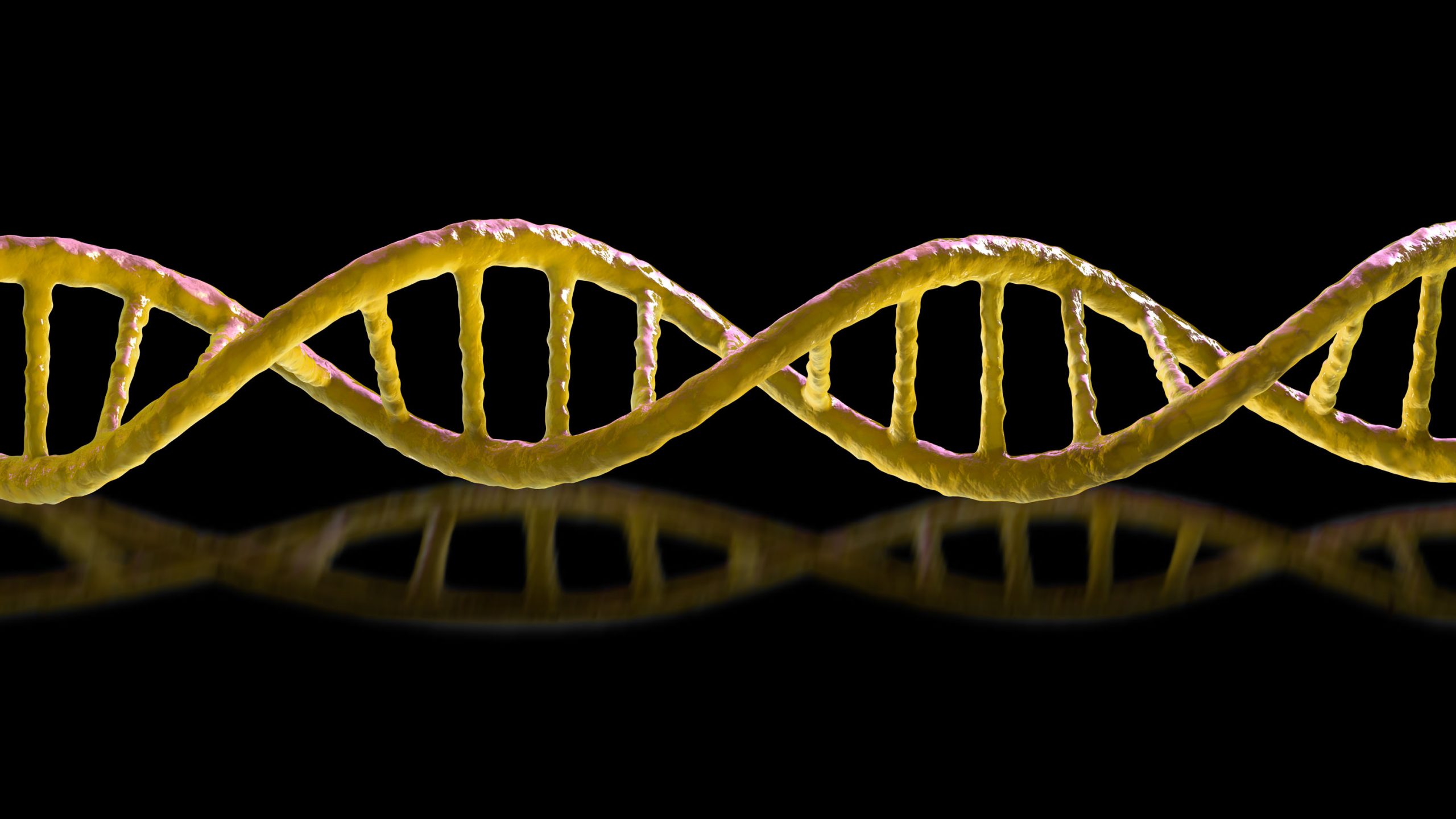 鏡像生命に沸いた科学者
「世界の終わり」を見たとき
何をすべきなのか