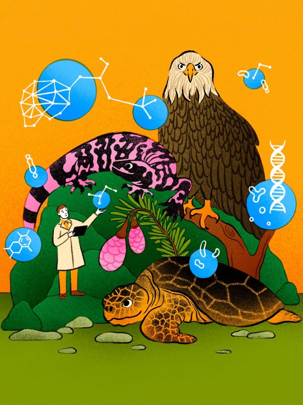 未来の職種：野生生物向けの薬を開発する「自然界の新薬設計者」