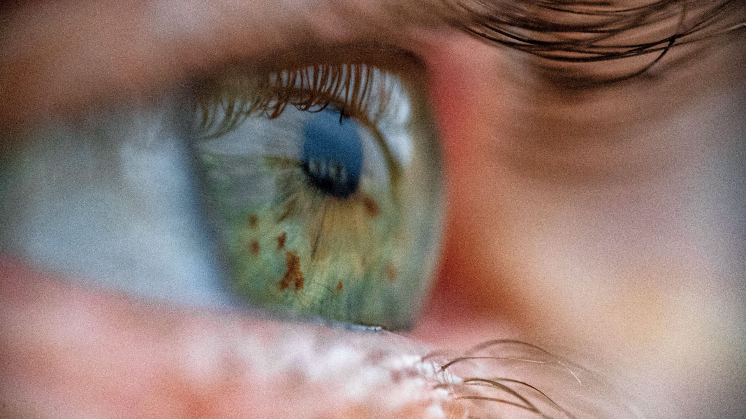 摘出した眼球を「生かす」装置、眼球移植への一歩に
